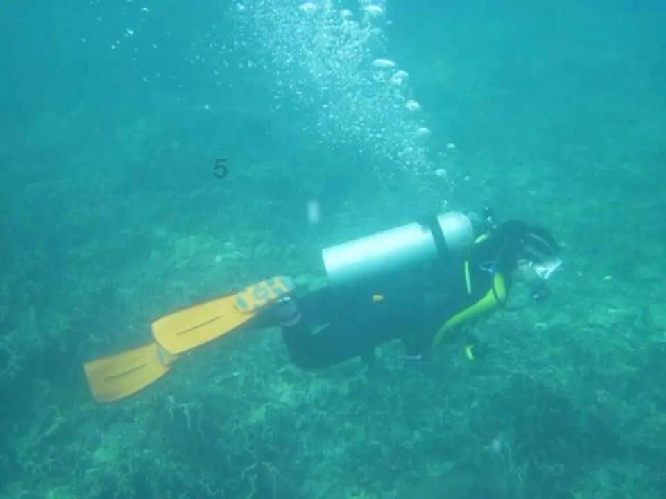 探索陈哲远徐梦洁:这对cp太好磕了!他们两人之间cp感如何?的知识星球,解锁无限学习空间