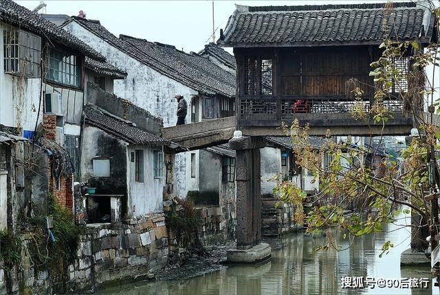 动物帮帮忙保卫家园